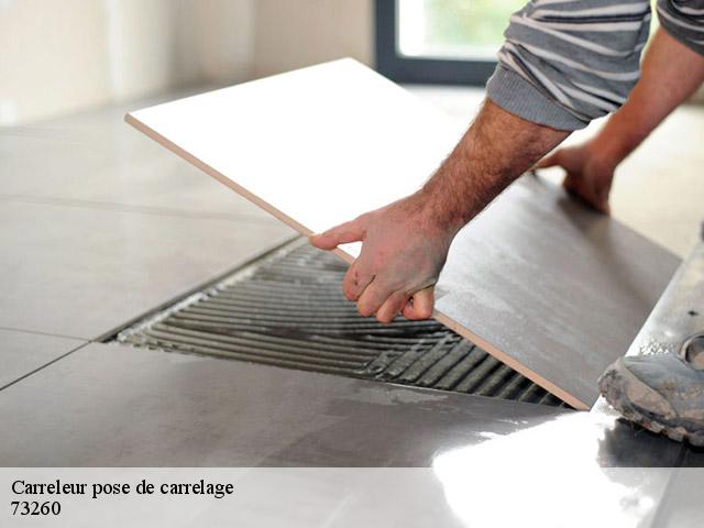 Carreleur pose de carrelage  73260