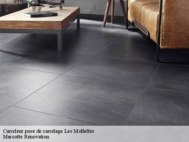 Carreleur pose de carrelage  les-mollettes-73800 Marcotte Rénovation