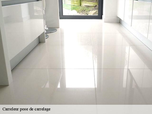 Carreleur pose de carrelage